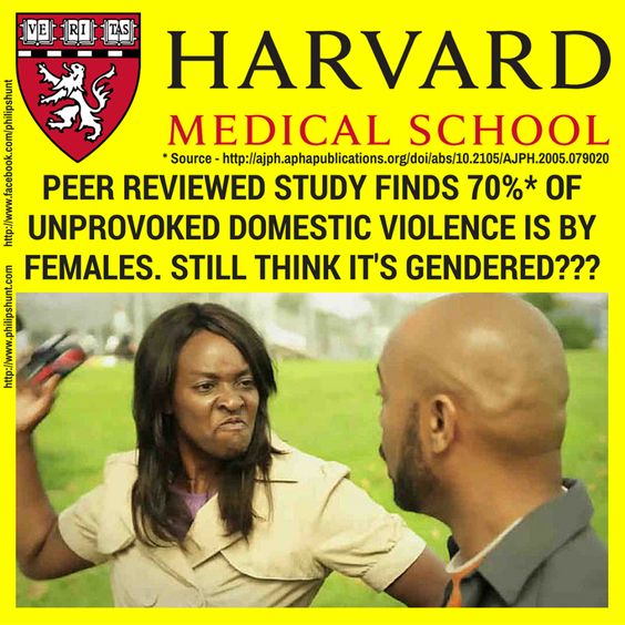 Harvard Domestic Violence&nbsp;Study